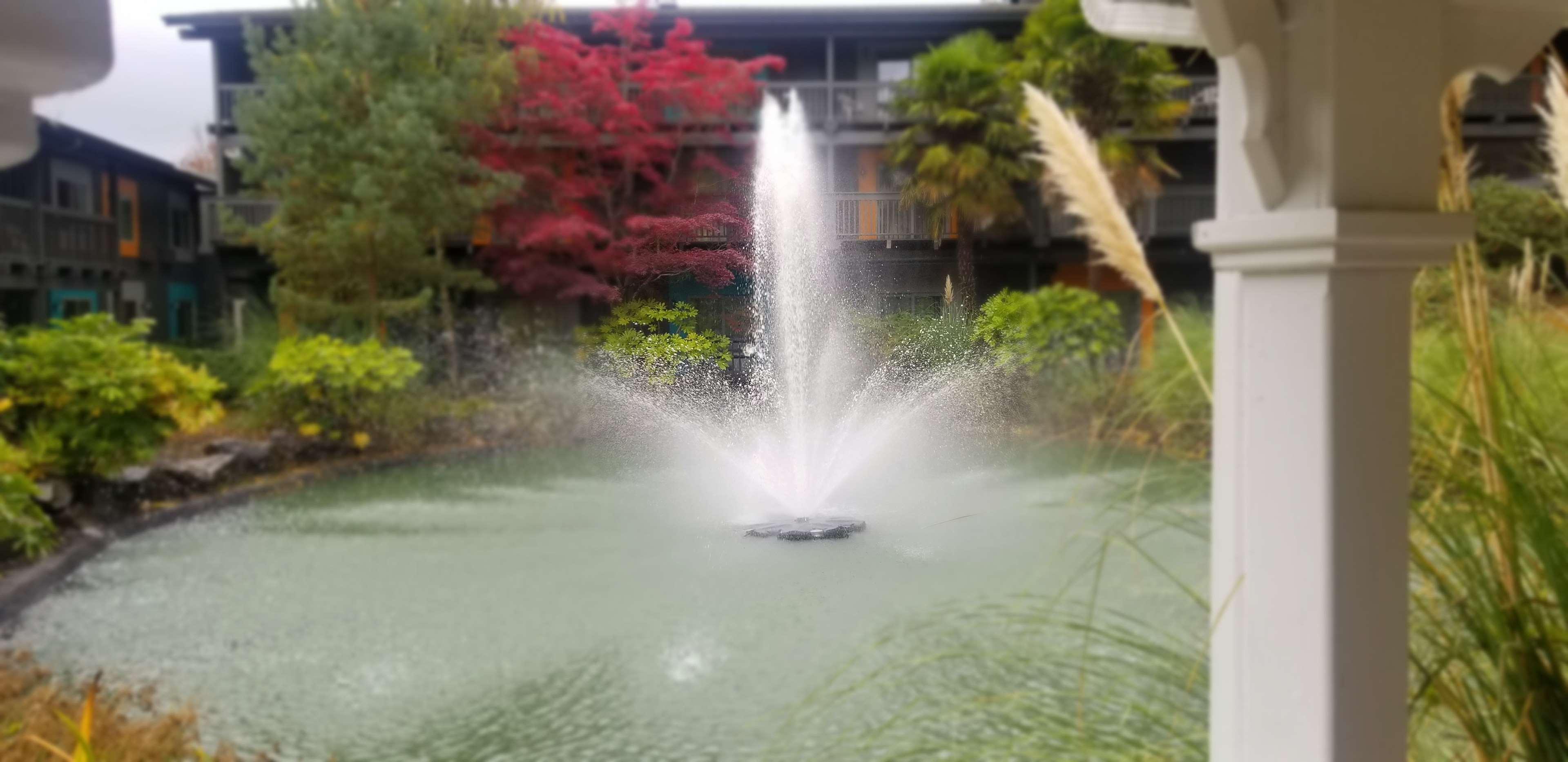 Best Western Portland West Beaverton Экстерьер фото
