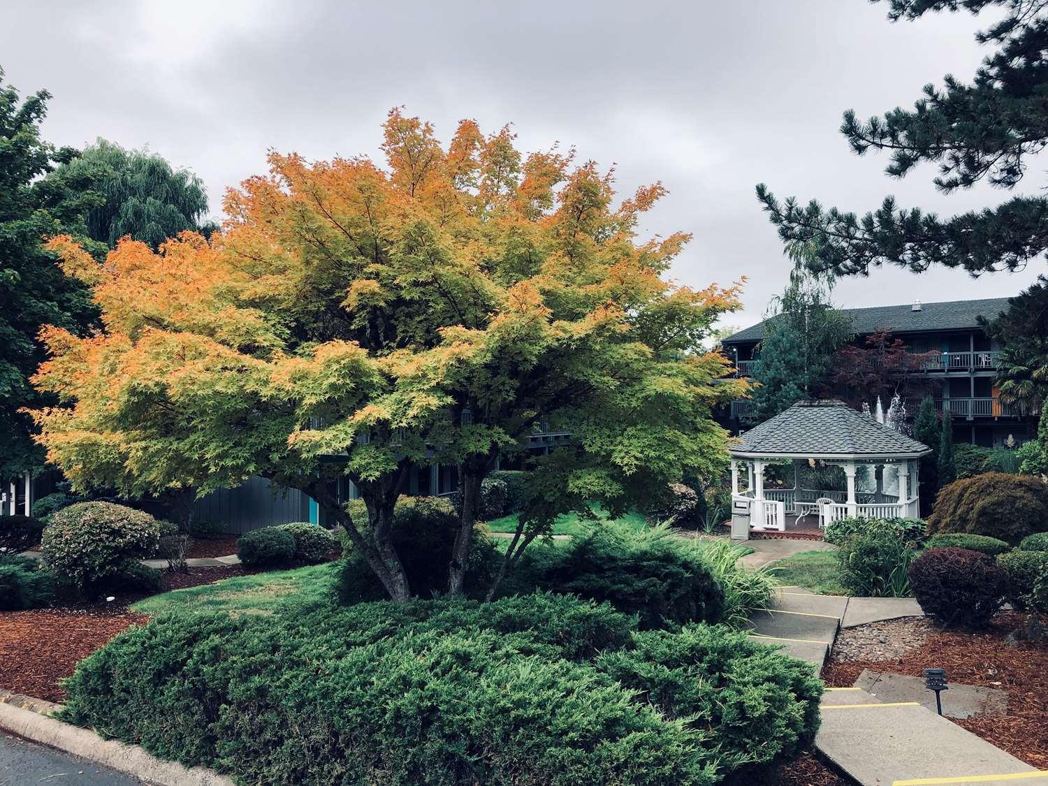 Best Western Portland West Beaverton Экстерьер фото