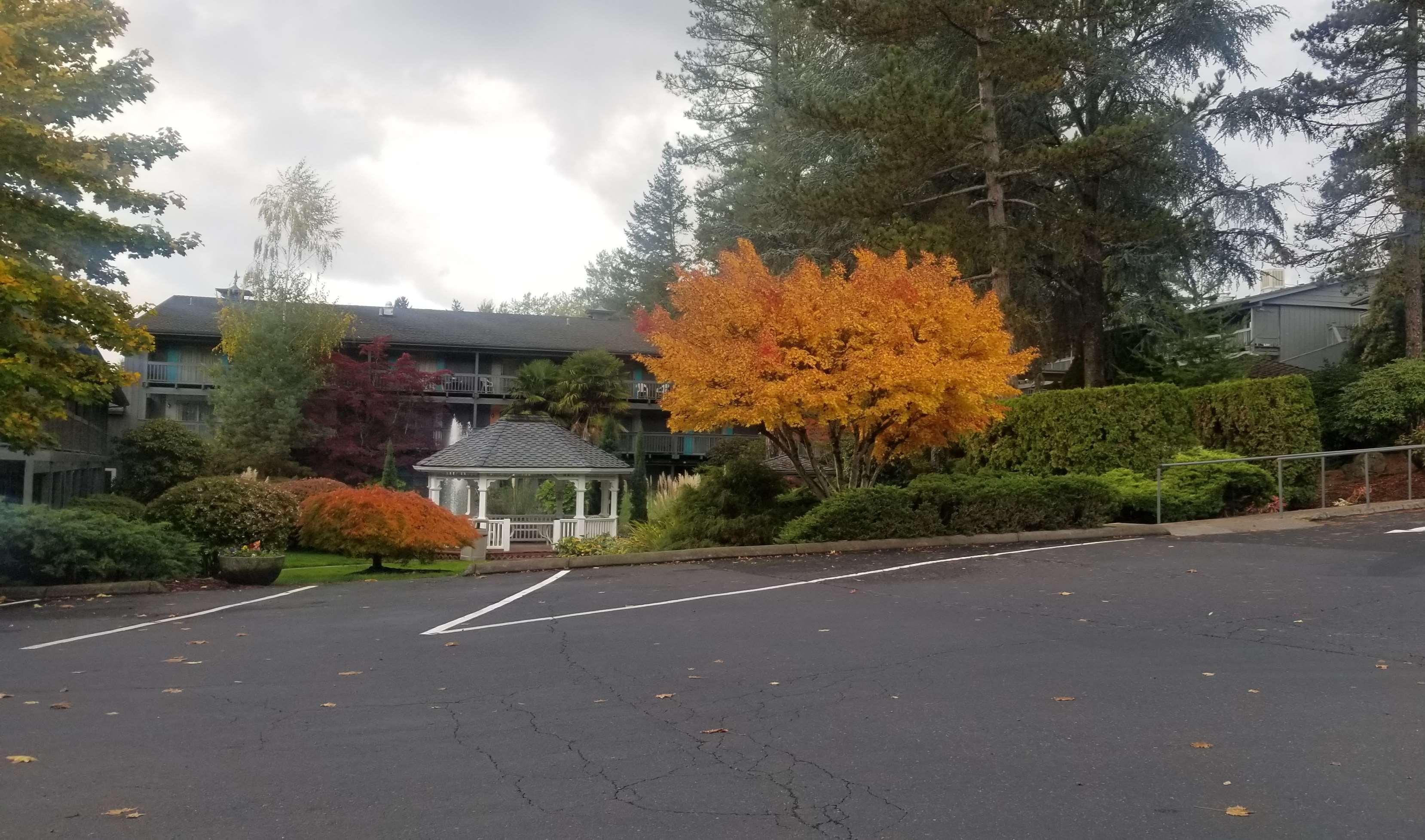 Best Western Portland West Beaverton Экстерьер фото