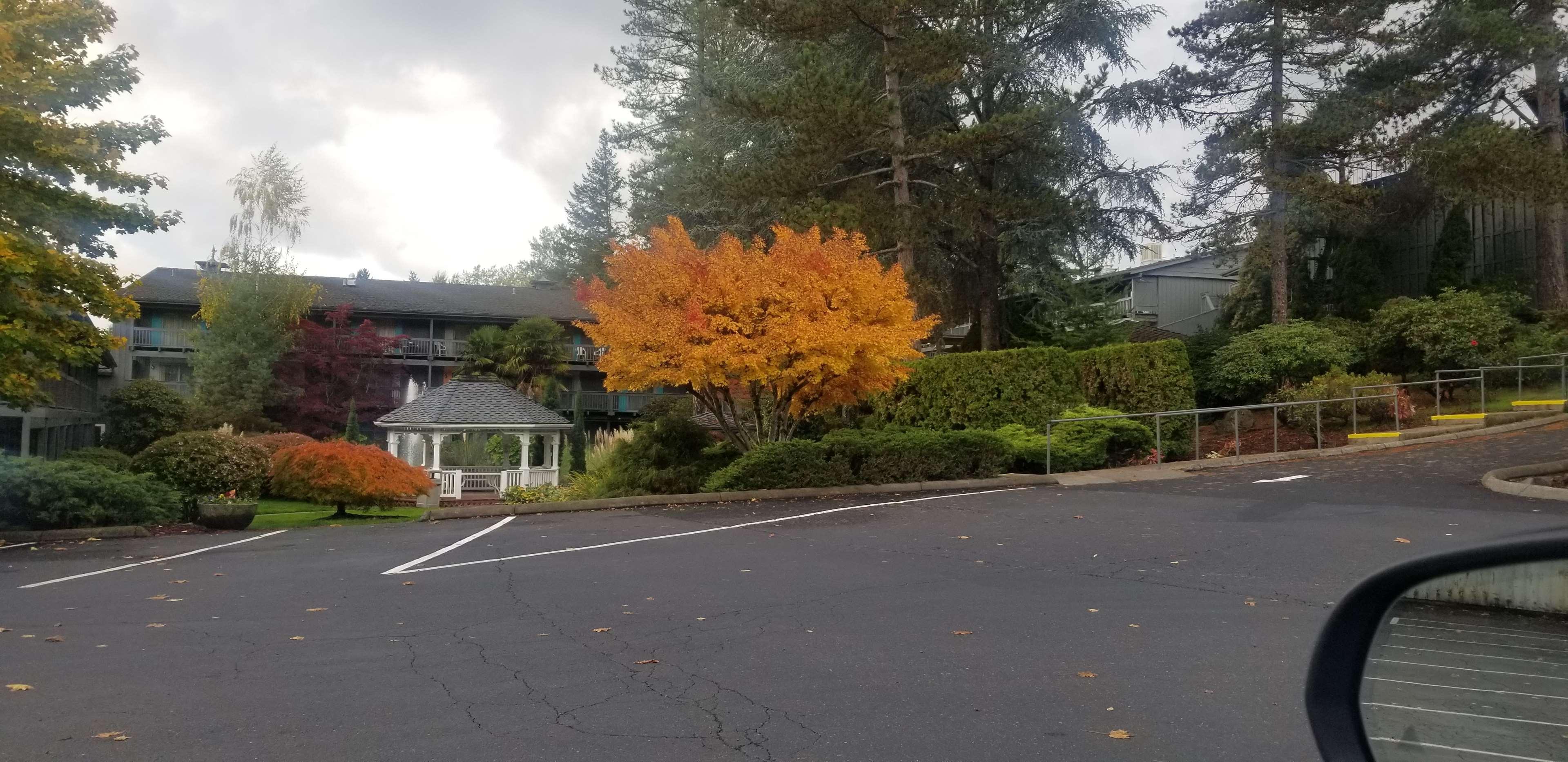 Best Western Portland West Beaverton Экстерьер фото